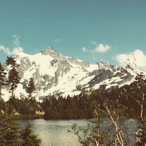 Meet your Posher, Stephanie - Picture 3 of 4